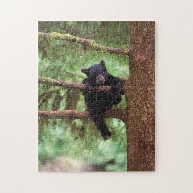 Puzzle ours noir, Ursus americanus, petit dans un arbre (Vertical)