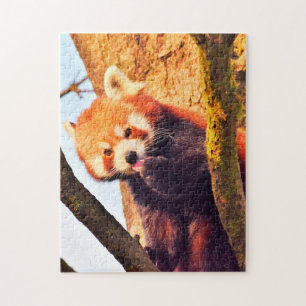 Puzzle Ours pandas bruns.