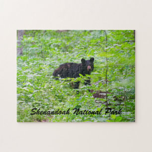 Puzzle Ours - Parc national de Shenandoah