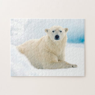 Puzzle Ours polaire adulte grand verrat sur la glace d'ét