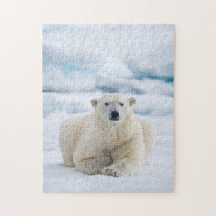 Puzzle Ours polaire adulte sur la glace du pack d'été