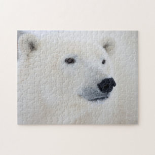 Puzzle Ours polaire Churchill