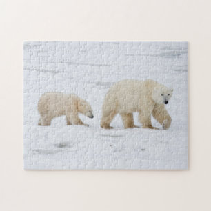 Puzzle Ours polaires femelle et deux oursons