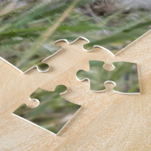 Puzzle Ouvrir les pots d'algues   Graines avec soie  