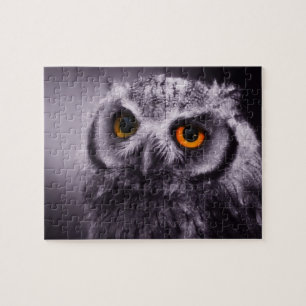 Puzzle Owl