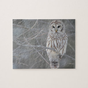 Puzzle Owl Puzzle