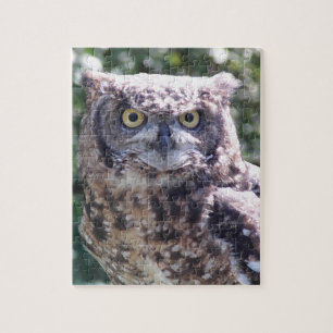 Puzzle Owl va te regarder !