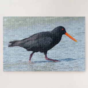 Puzzle OYSTERCATCHER 20x30 POUCES