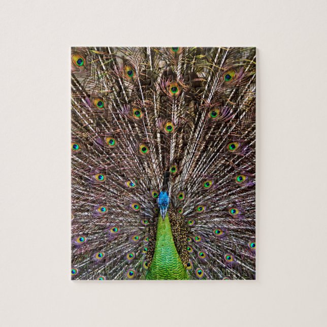 Puzzle Pacock (Vertical)