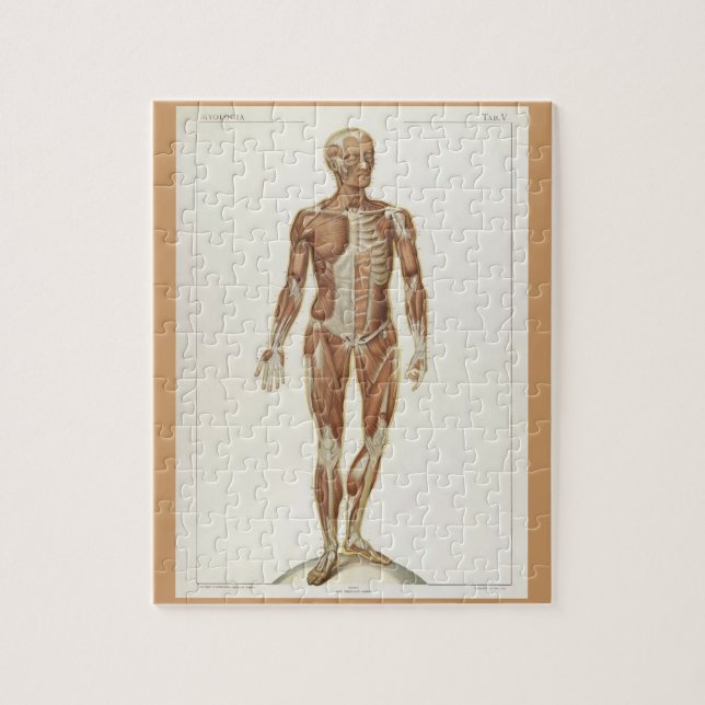 Puzzle Pages de livres d'anatomie vintage (Vertical)