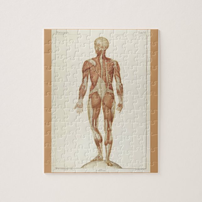 Puzzle Pages de livres d'anatomie vintage (Vertical)
