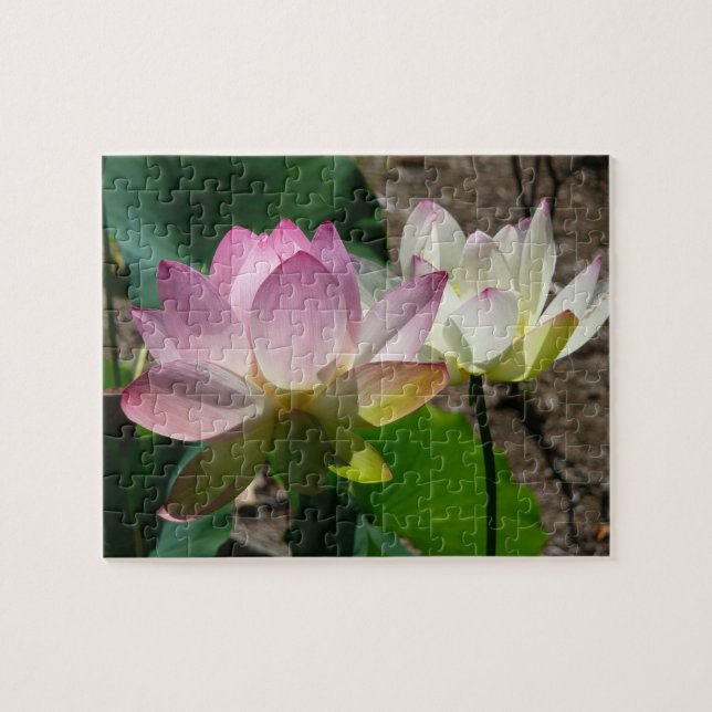 Puzzle Pair de Lotus (Horizontal)