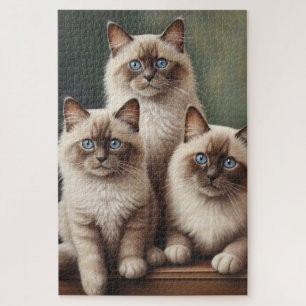 Puzzle Paire adorable de Ragdoll Kittens Chat doux