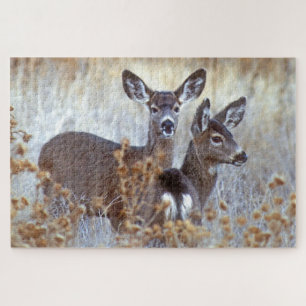 Puzzle Paire de cerfs mulet sauvages Californie