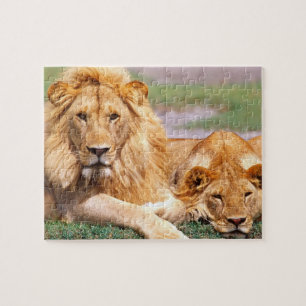 Puzzle Paire de lions d'Afrique, Panthera leo, Tanzanie
