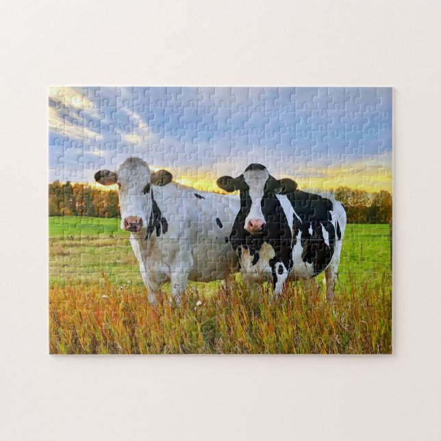 Puzzle Paire de vaches dans le pâturage (Horizontal)