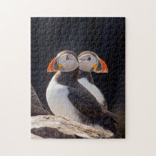 Puzzle Paires de macareux