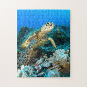 Puzzle Paires de tortue