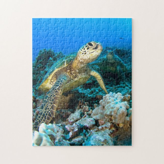 Puzzle Paires de tortue (Vertical)