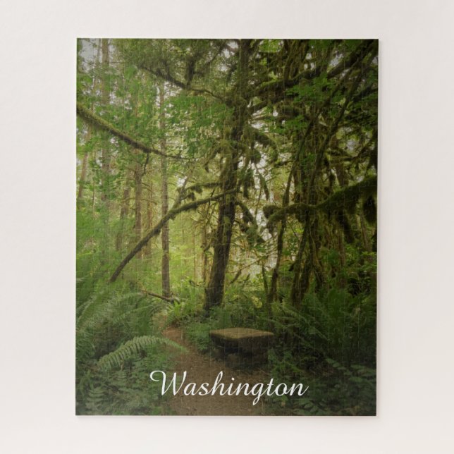 Puzzle Paisible Green Forest Trail Washington (Vertical)