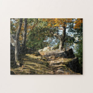 Puzzle Paisible sentier forestier Nature Effet Orton
