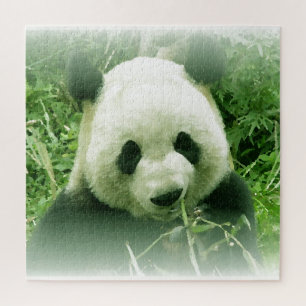 Puzzle Panda - Animaux
