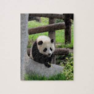 Puzzle Panda bébé