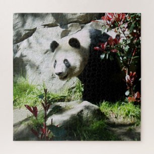 Puzzle Panda Ours Sourire