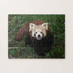 puzzle - panda rouge