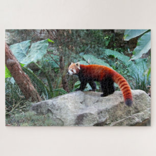 Puzzle panda rouge