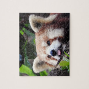 Puzzle Panda rouge