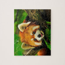 Puzzle Panda Rouge