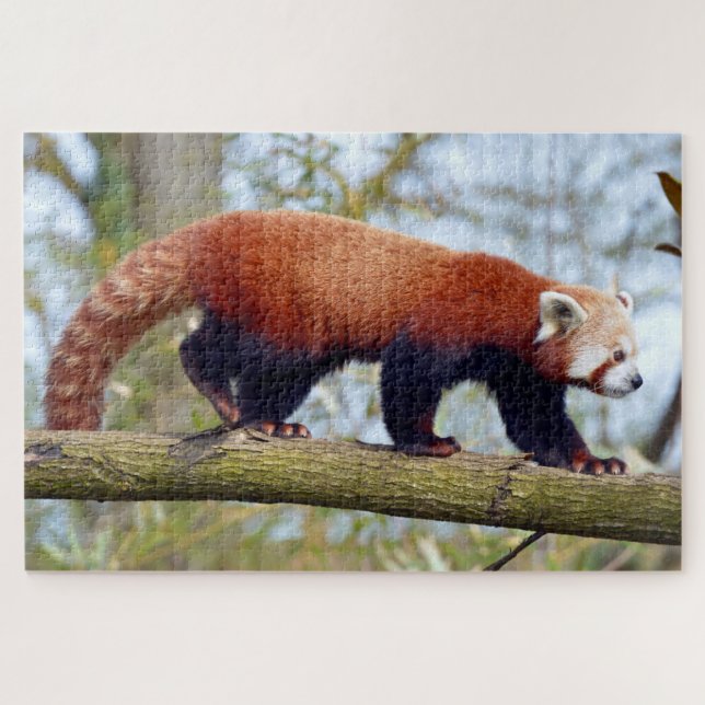Puzzle Panda rouge marchant sur la branche (Horizontal)