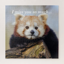 Panda Rouge Mignonne Vous Manque Tellement