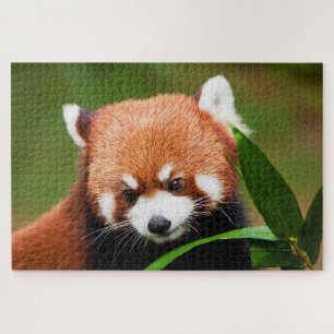 Puzzle Panda roux mignon