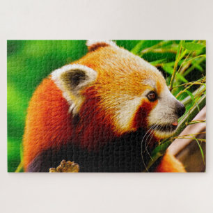 Puzzle Pandas roux.