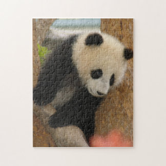 Puzzle PandaSD009