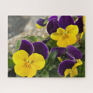 Puzzle Pansies jaunes violets