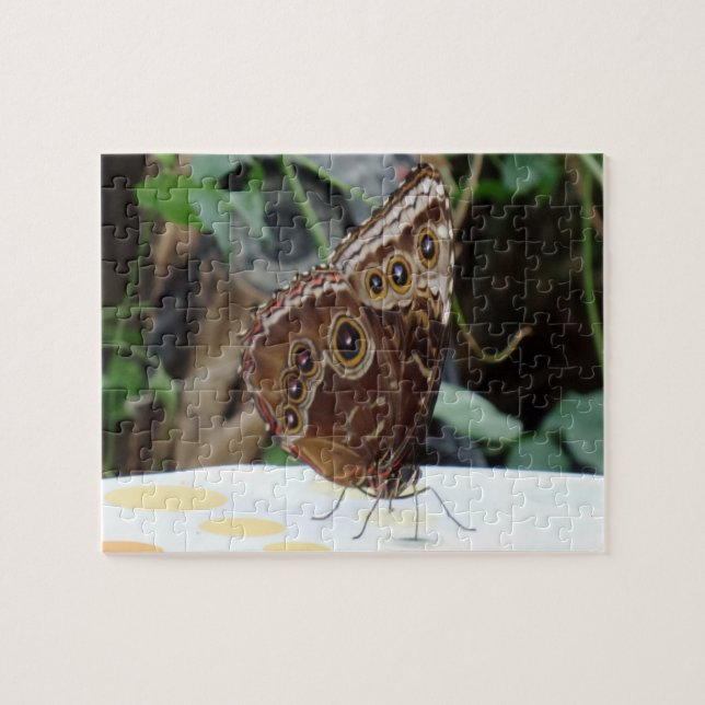 Puzzle papillon (Horizontal)