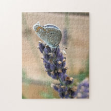 Puzzle papillon bleu