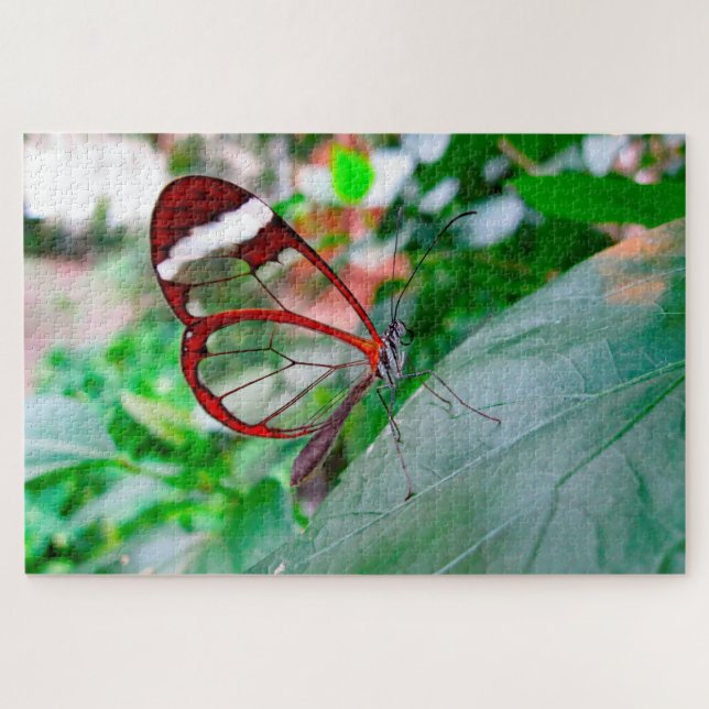 Puzzle Papillon d'aile en verre. (Horizontal)