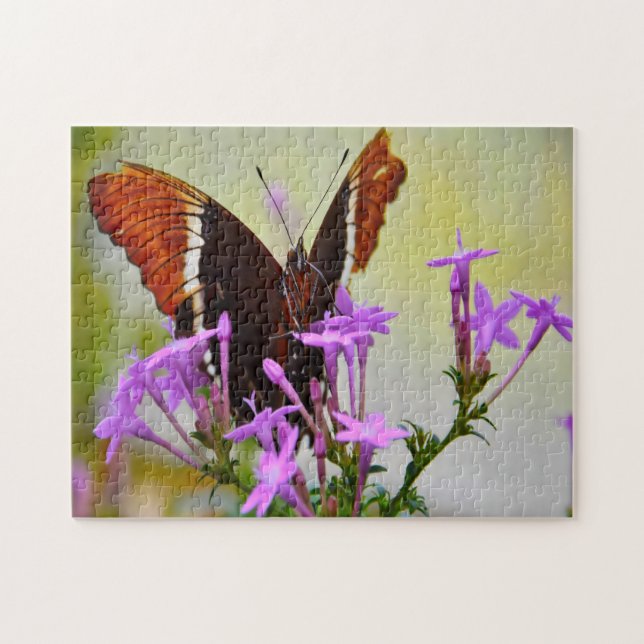 Puzzle Papillon-Dame Peint. (Horizontal)