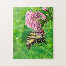 Papillon d'épaisse du tigre oriental