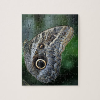 Puzzle Papillon Extraordinaire Caligo Eurilochus