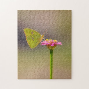 Puzzle Papillon jaune sur la fleur rose Zinnia