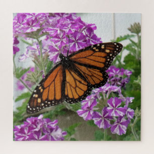 Puzzle Papillon monarque