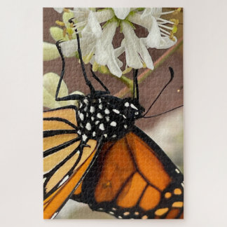Puzzle Papillon monarque