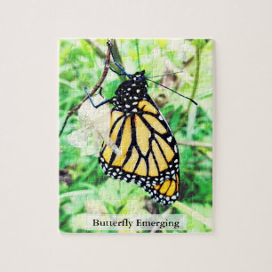 Puzzle Papillon Monarque Émergeant 110 Pièces