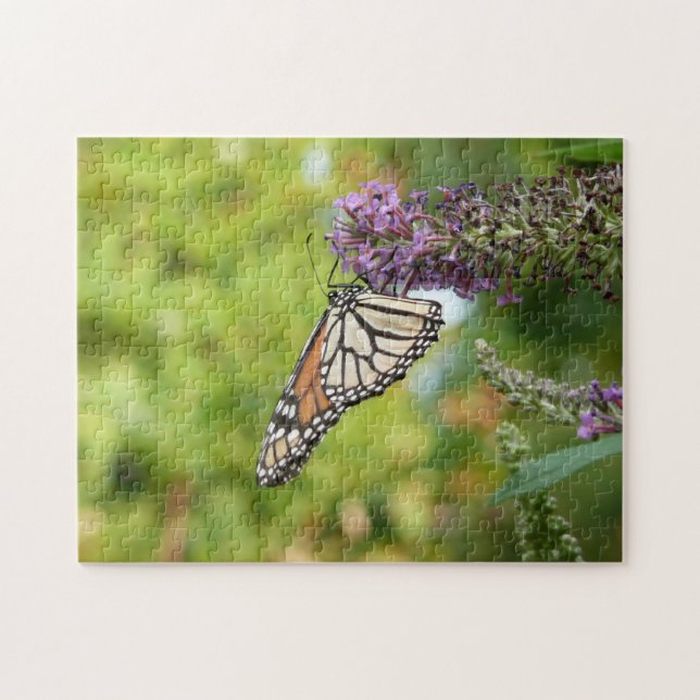 Puzzle Papillon Monarque sur papillon pourpre Bush (Horizontal)