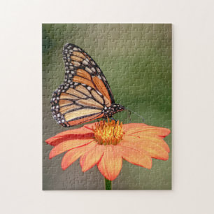 Puzzle Papillon Monarque sur une fleur d'orange